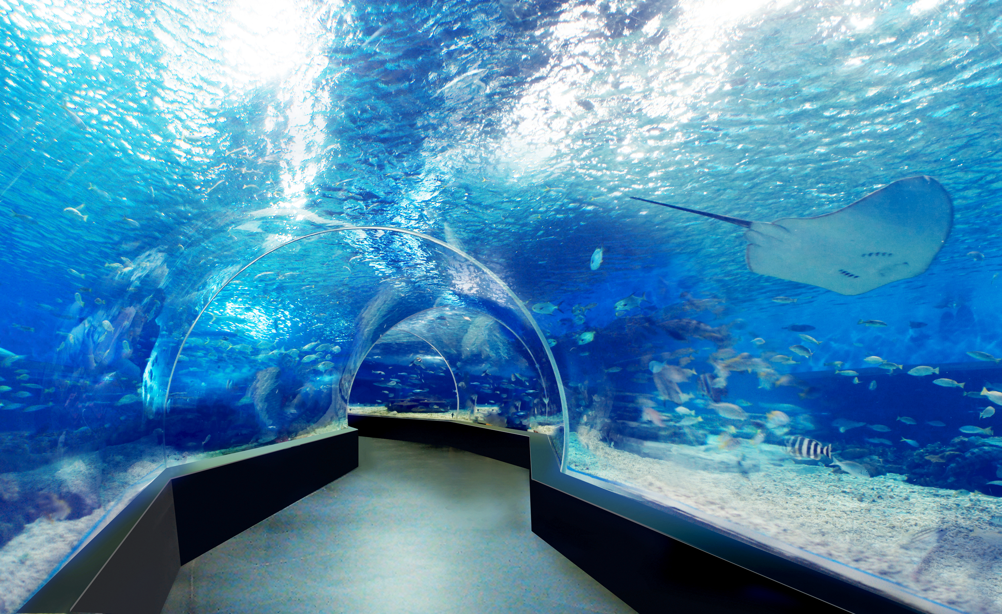 oceanarium